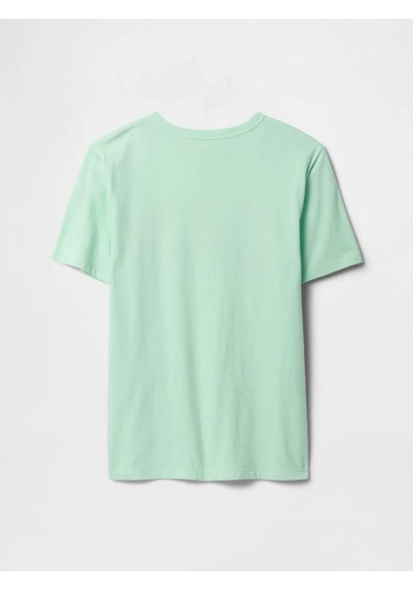 Erkek Çocuk Grafikli T-shirt Su Yeşili-5993 Yeşil