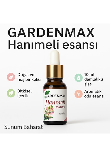 Buhurdanlık Esasnsı Hanımeli Hanımeli