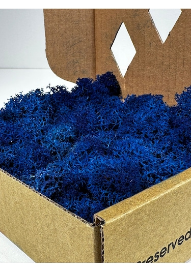Reindermoss Şoklanmış Norveç Yosunu Terarium Yosunu Mavi 100 Gr.