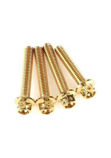 Willowhaven M6x25mm 10adet Altın Titanyum Kaplama Paslanmaz Çelik Motor Cıvataları