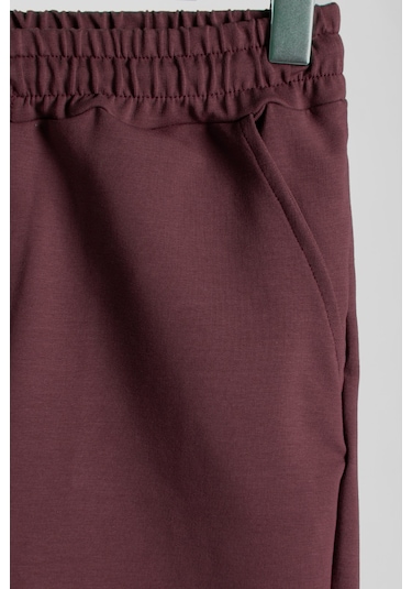 Terapi Men Erkek Bordo Basic Regular Fit Şort & Bermuda Bordo