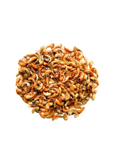 Lotus Gammarus Turtle 250 ml Kaplumbağa Yemi