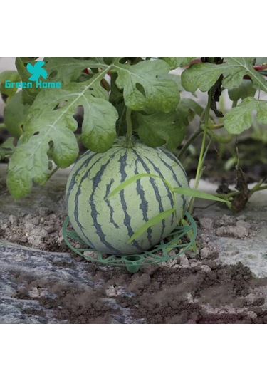 Lebihmurah 4356 Green Home Balkabağı Standı Aşınmaya Dayanıklı Kavun Karpuz Destek Tutacağı