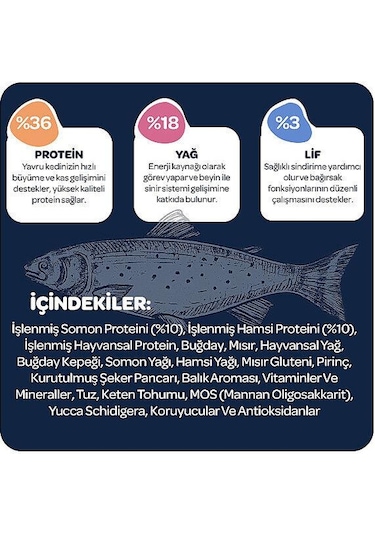 Obivan Kitten Somonlu Ve Hamsili Yavru Kedi Maması 2 Kg