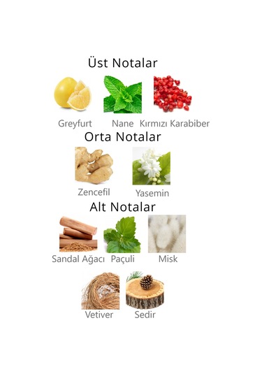 Aqua di Polo 1987 APCA000201 Gran Paradiso Jungle Sprey Deodorant Parfüm 150 ML