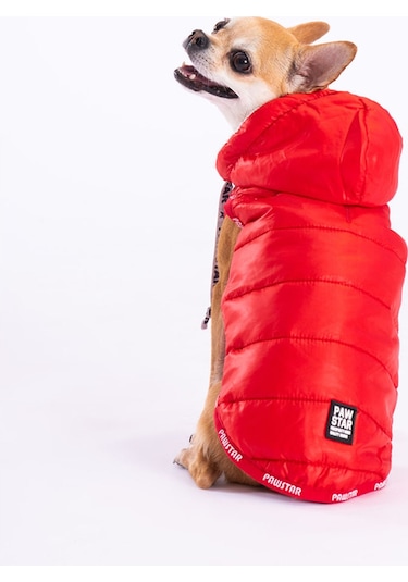 Pawstar Kırmızı Railway Anorak Yelek Köpek Yeleği