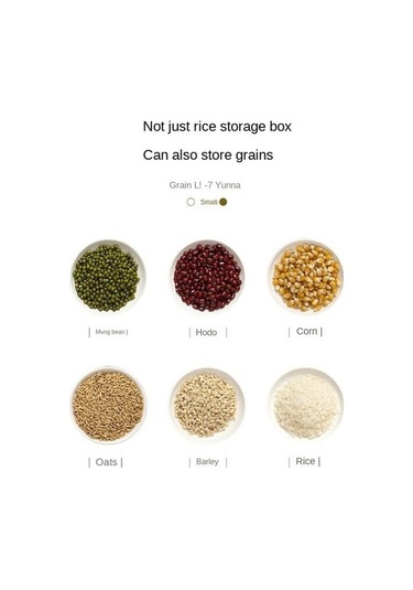 Pazly 9l Gri Pirinç Kutusu Böcek/nem Geçirmez Mühürlü Gıda Kavanozu Ev Pet Depolama Gri