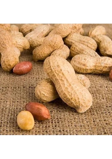 Kabuklu Fıstık (2 KG )