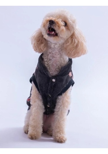 Pawstar Camden Nights Küçük Irk Köpek Peluş Yelek