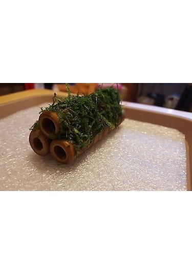 Moss Kamışa Tutturulmuş Karides Yuvası Ve Üretim Kamışı