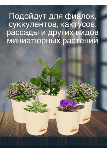 Interm Menekşe Fideleri İçin Tabaklı Çiçek Saksıları 5'li S 105636636