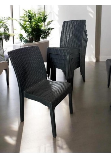 6 Adet Kolsuz Rattan Sandalye Antrasit Antrasit