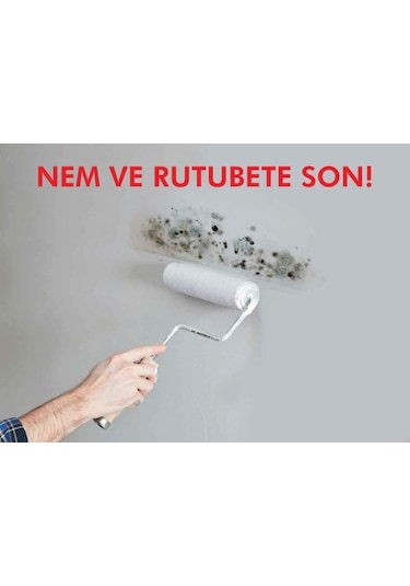 Notonem Rutubet ve Küf Önleyici Boya 1 kg