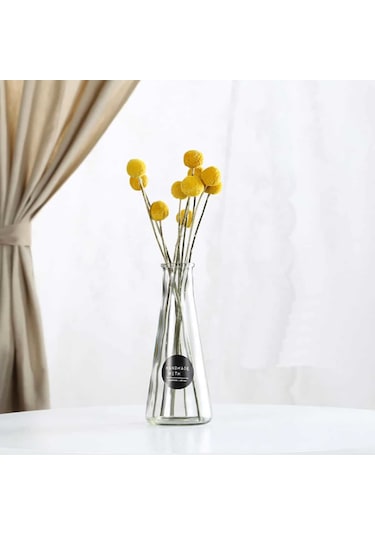 Şeffaf Simple Cam Vazo Modern Ve Minimalist Tasarımla Ferah Alanlar İçin Şık Seçim