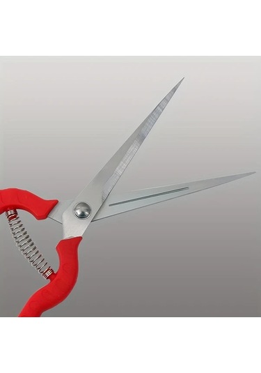 Cordial 1 Adet Bahçe Budama Makası, Paslanmaz Çelik, Kaymaz Tutamak, Ergonomik Kırmızı Sap