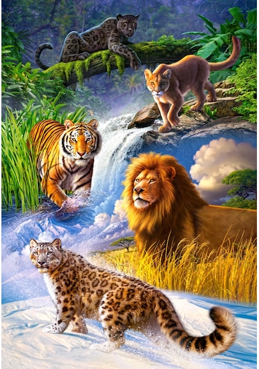 Castorland 1000 Parça Puzzle Big Cats
