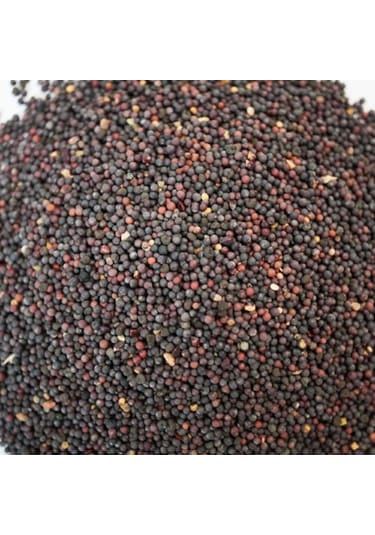 Siyah Hardal Tohumu 50 Gr 1 Adet