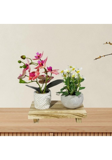 Suntek Ahşap Kaideli Ekran Bulaşık Sabunu Yükseltici Tabak Bej