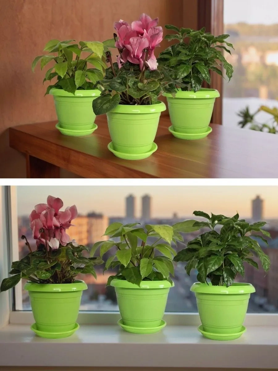 5plast 3'lü Sırp Etkin Ayçiçeği Bitki Saksısı 447554424