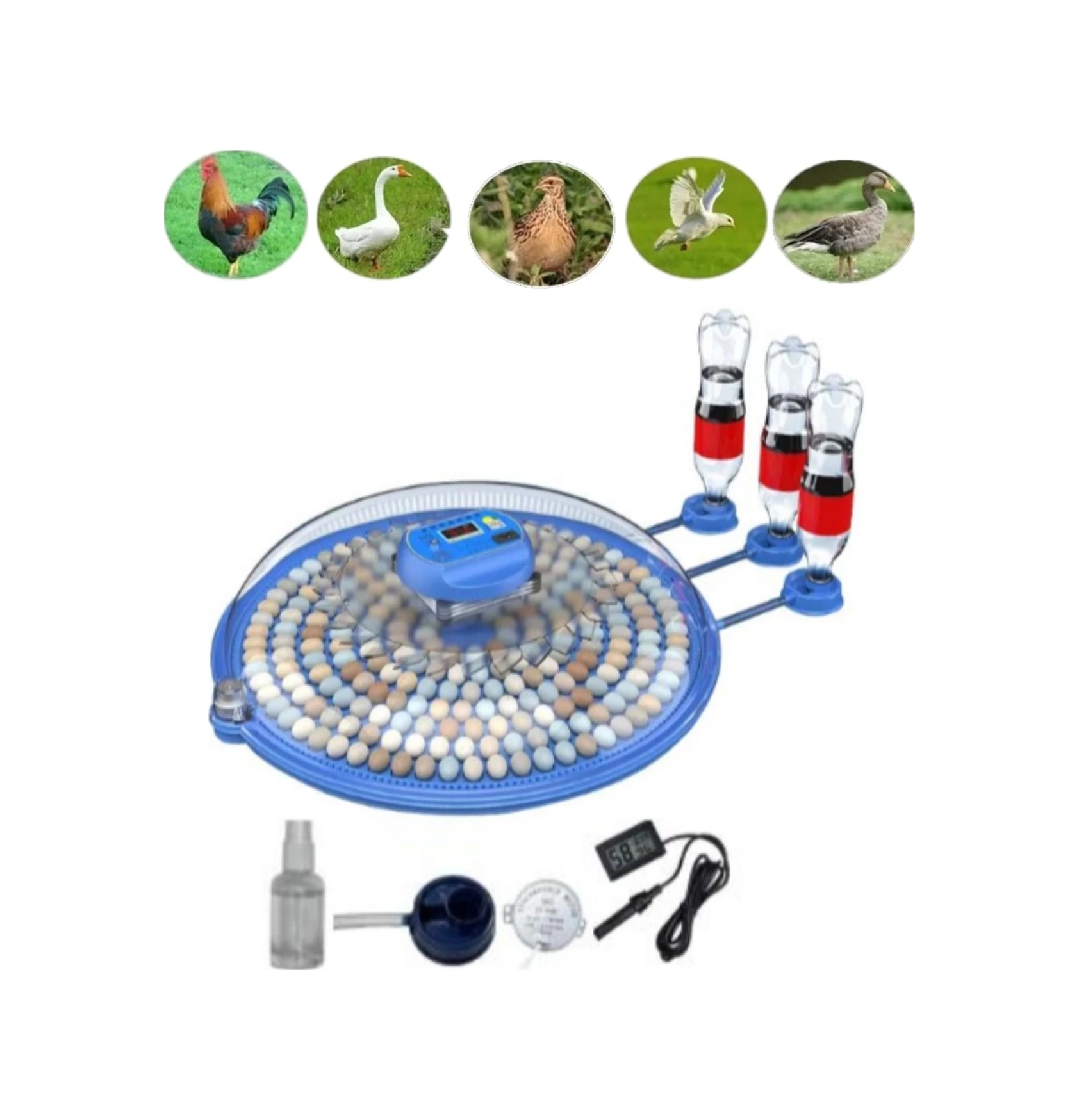 80/240 Kapasiteli Çift Viyollü Kuluçka Makinesi Kaz Ördek Tavuk Bıldırcın Kuşlar İçin