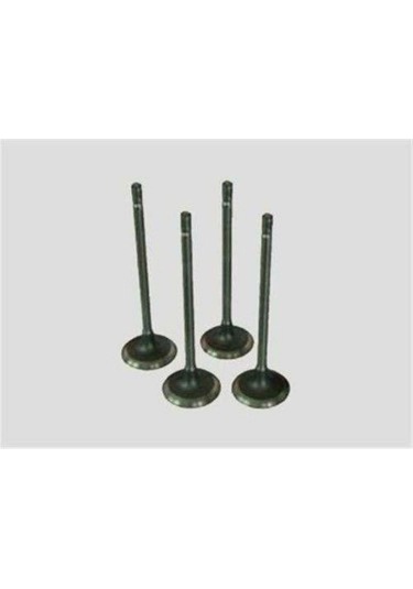 Subap Gaydı 106 8v G0924-094970