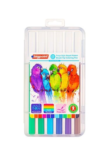 Bigpoint Fırça Uçlu Keçeli Kalem 12'li Set 6'lı Paket