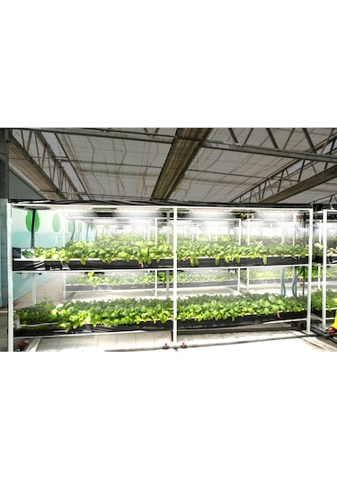 Reedark Bitki Büyüme Lambası - 6 Aydınlık Seviyeli, Akıllı Zamanlayıcılı, Full Spektrum Led Panel 30x8cm Diğer