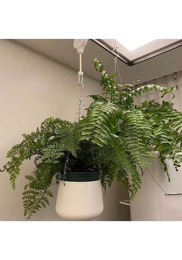 Pazly Suntek Sepeti Makaralı Çiçeklik Beyaz Askılı 4 Adet Xb