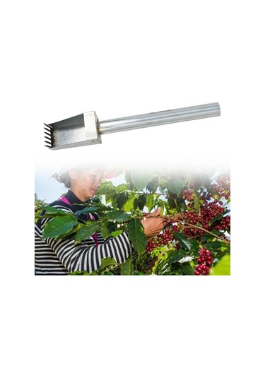 Suntek Hünnap Toplama Aracı Çaba Tasarrufu Sağlayan Bahçe El