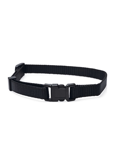 Beeztees Yavru Köpek Boyun Tasması, Çeşitli Renklerde, 22-35cm, 10mm Çok Renkli