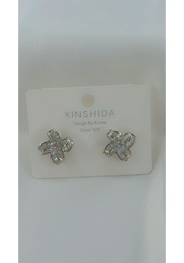 Kadın Fırıldak Model Zirkon Taşlı Küpe Gümüş Renk Gümüş