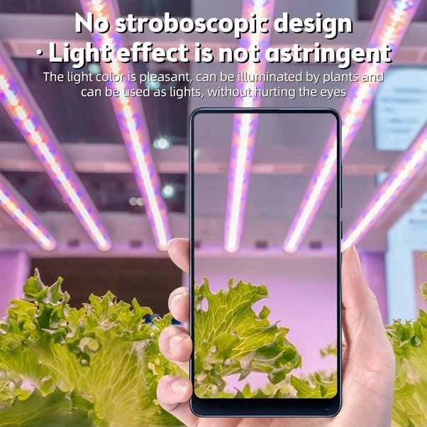 Fortunelane Güçlü 6.2w 126 Led Bitki Büyütme Lambası, 8/12/16h Zamanlayıcı, 226 Açılış, Pratik Kurulum Diğer