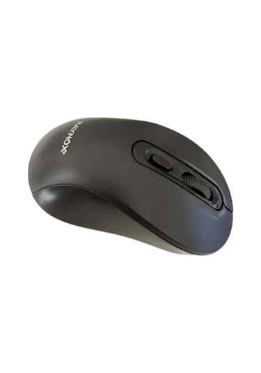 Raynox RX-M207 Kablosuz Mouse