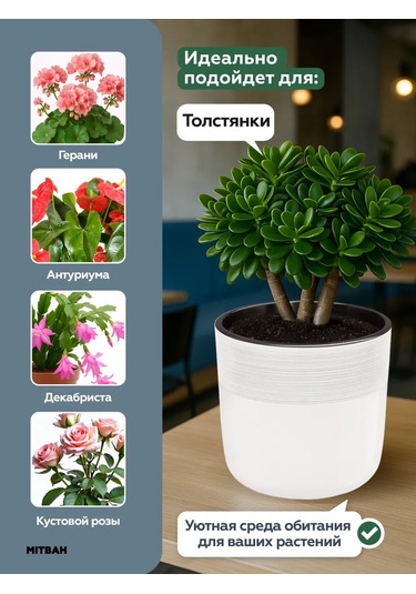 Mıtbah Çiçekler Ve Bitkiler İçin 2 Adet 2,7 Litrelik Saksı 412406254