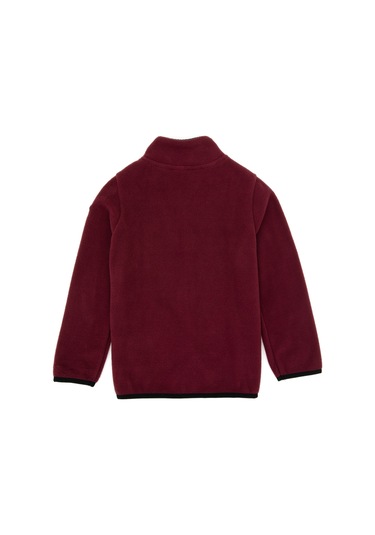 U.s. Polo Assn. Erkek Çocuk Plum Hırka Örme 50313853-vr177 New Plum