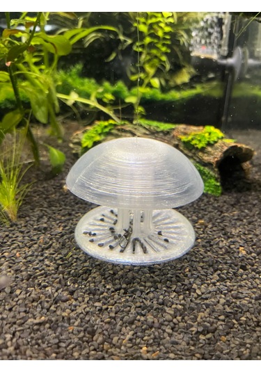 Pureysma Akvaryum Salyangoz Tuzağı Şeffaf Etkili Tuzak + Dekoratif Akvaryum