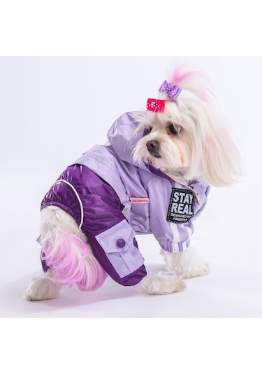 Pawstar Lila Mor Bicolor Köpek Tulum Yağmurluğu