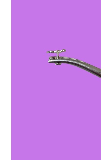 Taşlı Yılan Tasarım Kıkırdak Tragus Helix Pearsing Küpe Gümüş