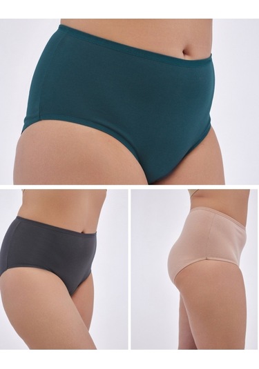 Alya Underwear Kadın Büyük Beden Külot Battal Full Brief, Yüksek Bel 5xl, 6xl, 7xl 5 Farklı Renk 1 Pakette P10