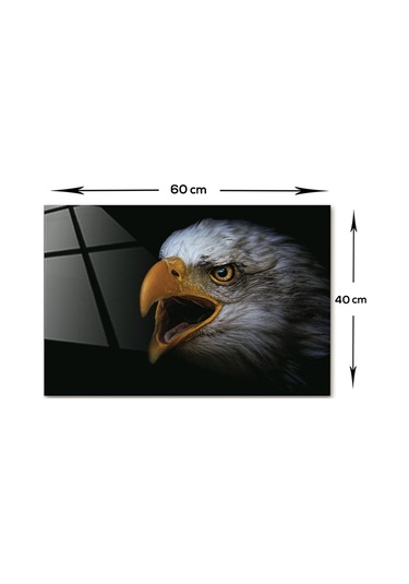 Decorıta Hayvanlar | Cam Tablo | Kartal - Yatay Görünüm