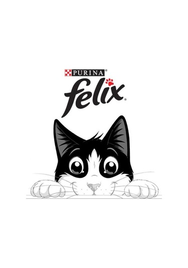 Sardalyalı Ve Somonlu Kedi Yaş Mama 10 Adet 1x85gr