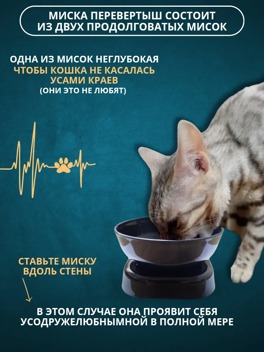 Anticarapki Kedi Kaseleri 300338930