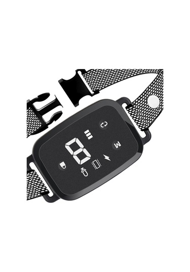 Homyl İç Mekan Oturma Odasında Çalıştırmak Için Köpek