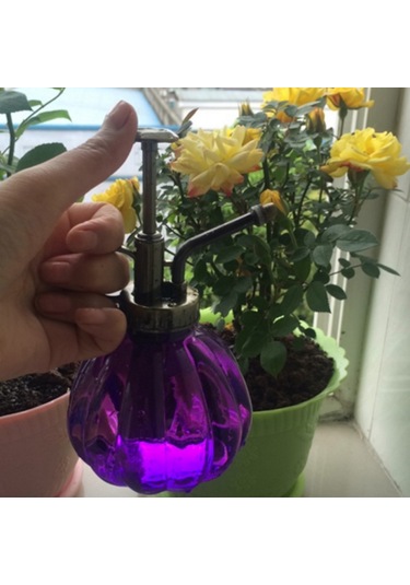 Suntek Antik Bitki Çiçek Sulama Pot Şişe Bahçe Mor