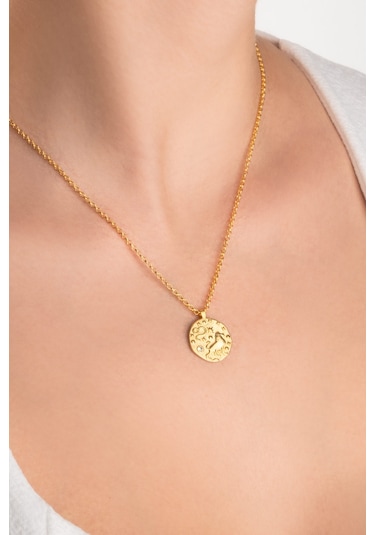 Aslan Burcu 18 Ayar Sarı Altın Kaplama 45 Cm Gümüş Kolye Sarı