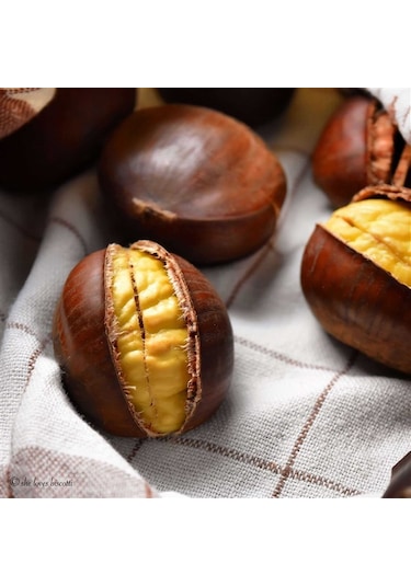 İri Kestane Zonguldak Yöresinden 1 Kg