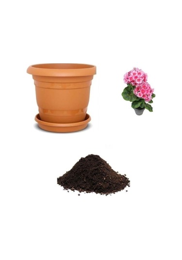 Pembe Kadeh Çiçeği Tohumu Ekim Seti