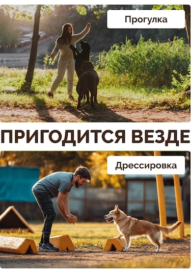 Ooo "firma Kaskad" Köpek Ödülü Çantası 344034708