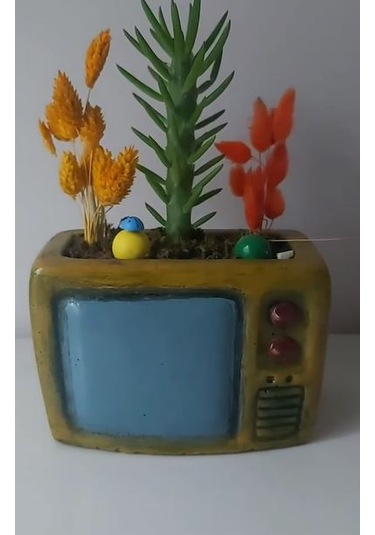 Dekoratif Tv Saksı