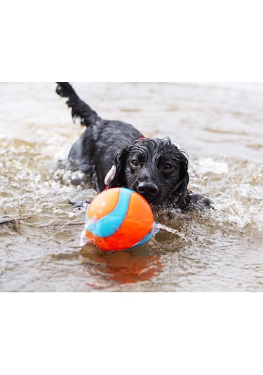 Chuckit Suda Batmayan Mega Köpek Oyun Topu 12 CM